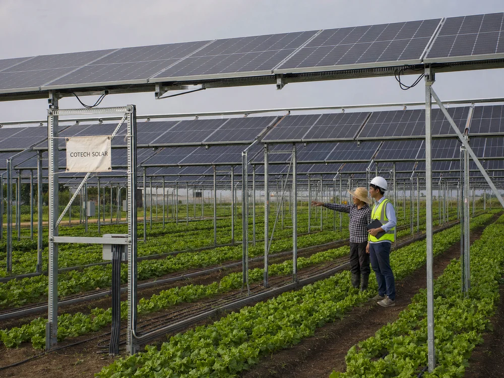 Agrivoltaic farm system